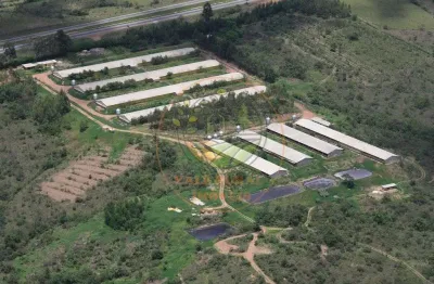 Excelente! granja em pleno funcionamento próxima á br 060-  df/go   fa00219