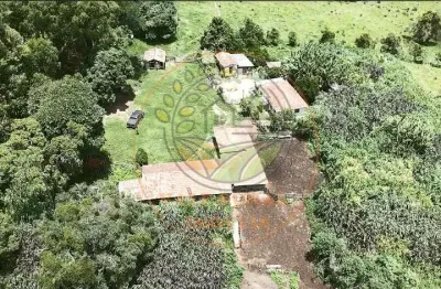 Oportunidade! fazenda de 205 hectares em arantina - mg  fa00218