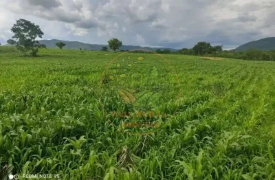Fazenda de 2.725 hectares com 2.000 cabeça de gado na região de monte alegre de goiás-go fa00223