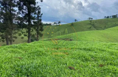 Excelente área em sapucai mirim - mg com 7 alqueires, com vista deslumbrante  ar00096