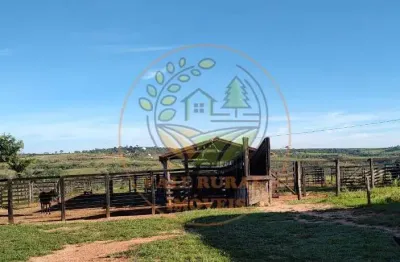 Excelente! fazenda de gado pronta em são gonçalo - mg  fa00228