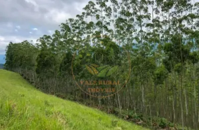 Excelente área rural com 8 alqueires em são francisco xavier - sp  ar00097