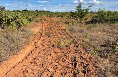 Fazenda no tocantins com 232 alqueires ,  dupla aptidão  fa00243