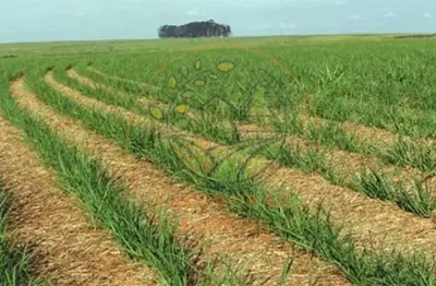 Fazenda à venda no Setor Central, Acreúna 
