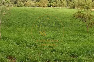 Fazenda à 100 km araguaína-to, com 385 alqueires voltada pra pecuária e agricultura, com 7,5 km de rio fa00241