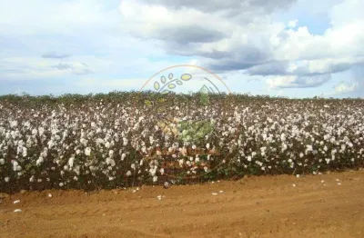 Fazenda à venda no Centro-Norte, Cuiabá 