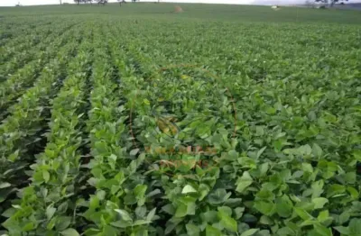 Fazenda 1.238 hectares na região de capitólio em minas gerais!  fa00246