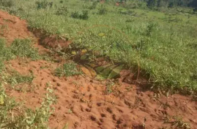 Fazenda à venda no Centro, Mineiros 