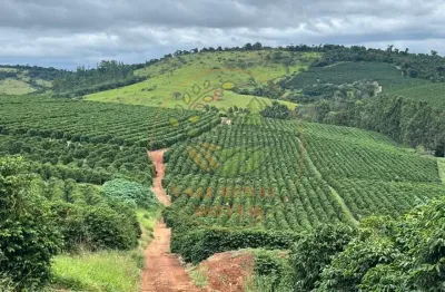 Excelente fazenda  de café no sul de minas com 750 hectares  fa00252