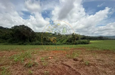 Fazenda na região de são lourenço - mg com 127 hectares  fa00256