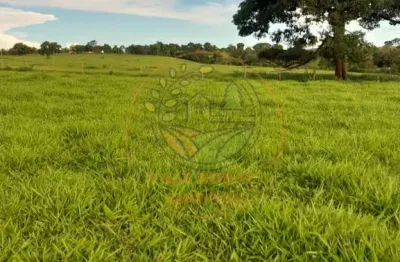Fazenda de 44 alqueires com dupla aptidão na região de itaberaí - go  fa00260