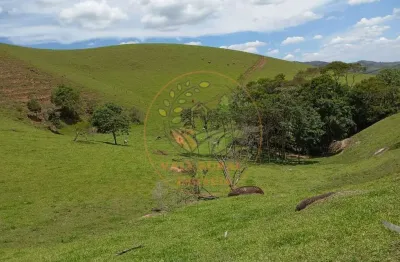 Sitio excelente com 20 alqueires em campos novos de cunha - sp  st00234