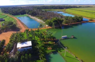 Fazenda  com 8.000 hectares na região de sinop- mt  fa00267