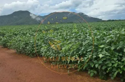 Fazenda de 319 alqueires em brejinho alegre- to  fa00273