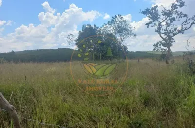 Área de 17,5 hectares em lima duarte - mg com nascente e escritura ar00100