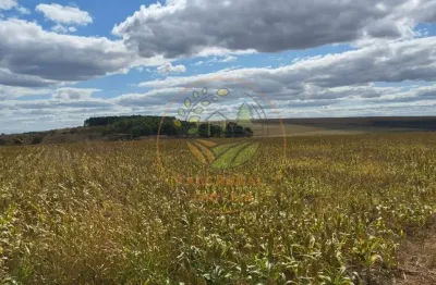 Oportunidade! fazenda em águas frias de goiás com 1603 hectares  fa00270