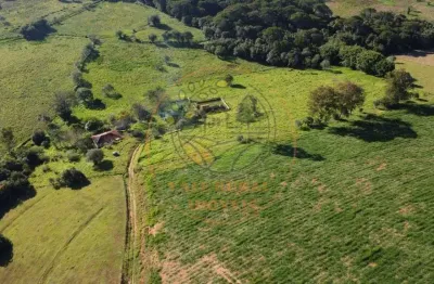 Oportunidade! sitio de 26 alqueires em paraisópolis - mg  st00247