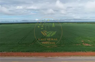 Fazenda de 9.700 hectares no mato grosso com pista de pouso  fa00282