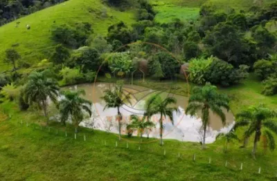 Oportunidade! excelente sítio com 43 hectares em jambeiro-sp  st00256