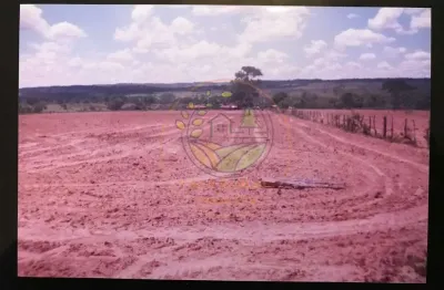 Oportunidade! fazenda  de 1.350 hectares na região de joão pinheiro - mg  fa00292