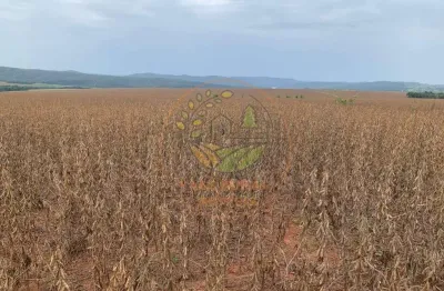 Fazenda na região de caldas novas - go com 716 alqueires  fa00294