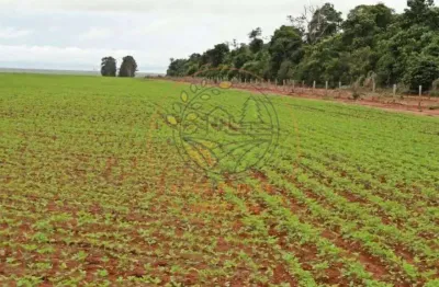 Fazenda na região de cáceres- mt com 95.000 hectares com estrutura completa  fa00300