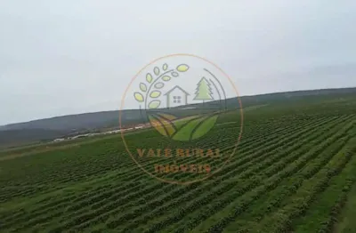 Excelente fazenda de café a venda em minas gerais  fa00301