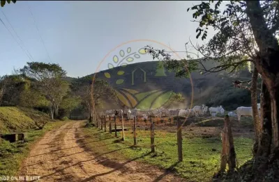 Fazenda de 106 alqueires na região de são josé dos campos- sp  fa00305