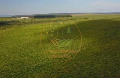 Fazenda em goiás- próxima a brasilia com 1.958 hectares  fa00309