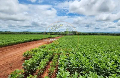 Fazenda de 3.620 hectares na região de água boa - mato grosso  fa00313