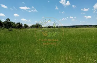 Fazenda na região de paranaiba-  mato grosso do sul