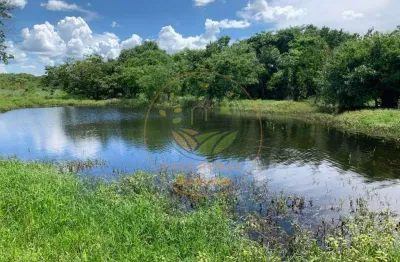 Fazenda com 1 sala à venda no Setor Central, Goiânia 