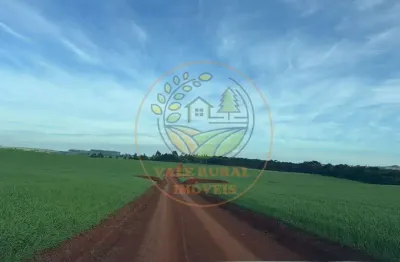 Vendo fazenda no paraná- excelente para lavoura (oportunidade imperdível!) fa00324
