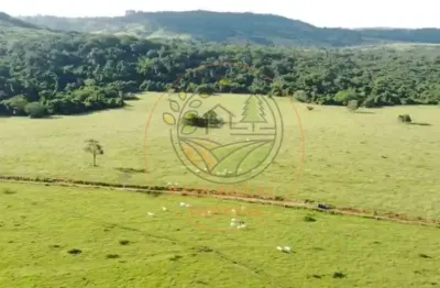 Fazenda à venda - sul de goiás excelente oportunidade para investimento  fa00329