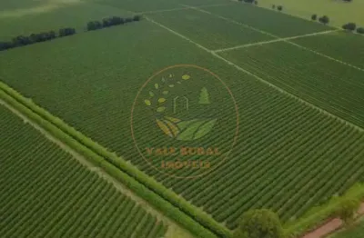 Vendo fazenda de café -serra do cabral/mg excelente oportunidade de investimento fa00327