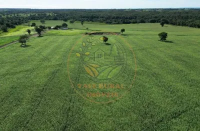 Vendo fazenda com 484 hectares em são miguel do araguaia- go (alta produtividade, região em expansão agrícola). fa00330