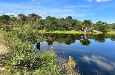 Fazenda à venda-buritizeiros/mg excelente oportunidade de investimento. fa00336