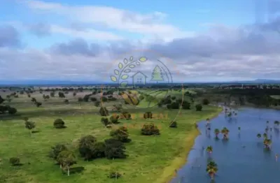 Fazenda à venda-barra do garças/mt a melhor fazenda da região fa00338