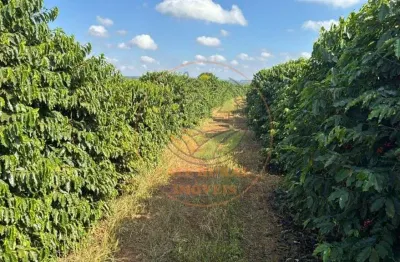 Fazenda à venda na região de piumhi/mg excelência em cafeicultura!   altamente produtiva e com estrutura completa fa00339