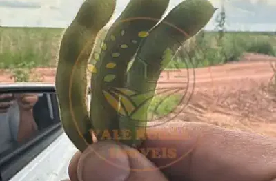 Fazenda à venda  região de tocantins /go  oportunidade única alta capacidade de plantio.   fa00343