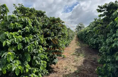 Fazenda de café à venda porteira fechada na região de  campos altos/mg estrutura completa, produção ativa  fa00346