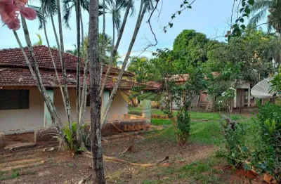 Fazenda à venda na região de  paranaíba -ms dupla aptidão  grande oportunidade de investimento. fa00347