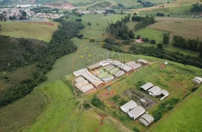 Excelente área escriturada com 35 hectares, muita água e 19 barracões! fa000349