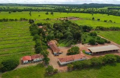 Maravilhosa fazenda na região do vale do araguaia - go com 1.473 alqueires  fa00275