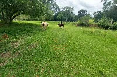 Oportunidade única! área rural com 20.000 m² com fartura de água e próximo da cidade