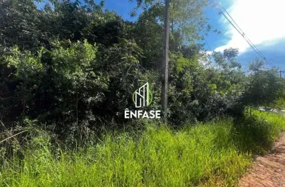 Terreno à venda na Rua Salatiel Gonçalves Rios, Vivendas Santa Mônica, Igarapé
