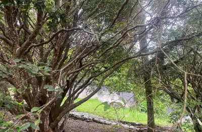 Um terreno de 1.653 m2  magnifico na melhor rua do melhor condominio horizontal da cidade de arujá