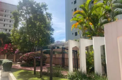 Apartamento pronto para morar no melhor bairro da zona sul com localização repleta de amplo comercio e com reforma recente