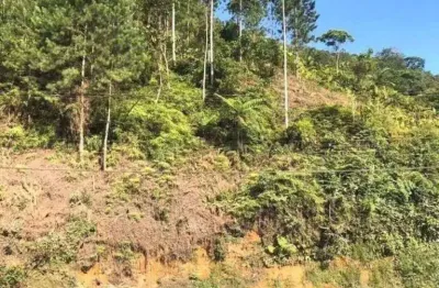 Terreno à venda, 30.000 m² por r$ 200.000 - vila itoupava - blumenau/sc