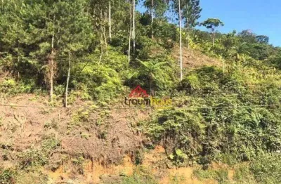 Terreno à venda, 30.000 m² por r$ 200.000 - vila itoupava - blumenau/sc